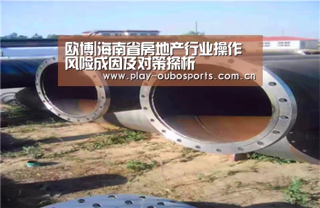 欧博|海南省房地产行业操作风险成因及对策探析(图4) 欧博官网