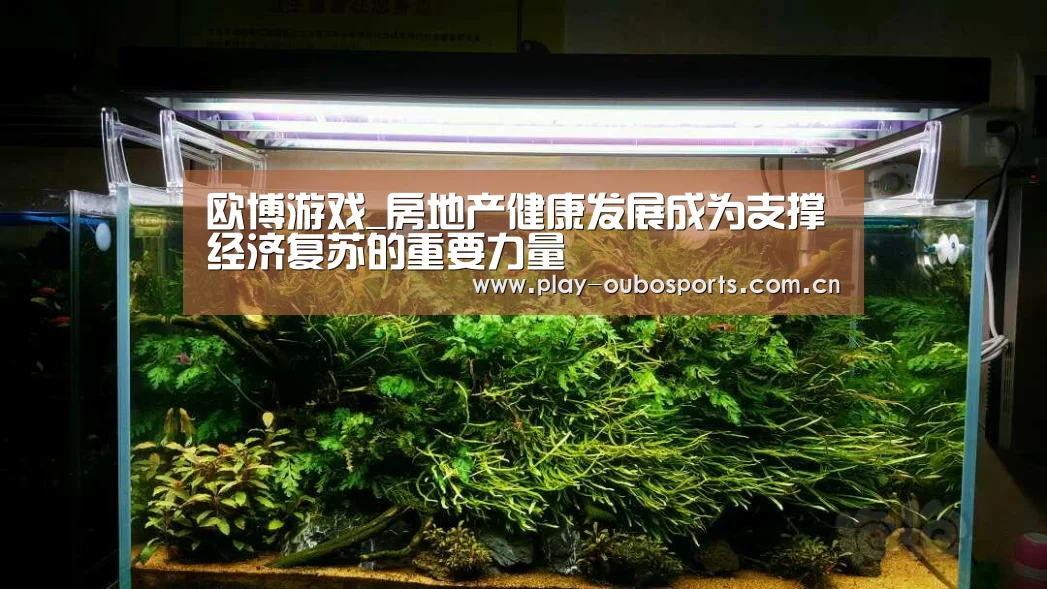 欧博游戏_房地产健康发展成为支撑经济复苏的重要力量(图1) 欧博游戏